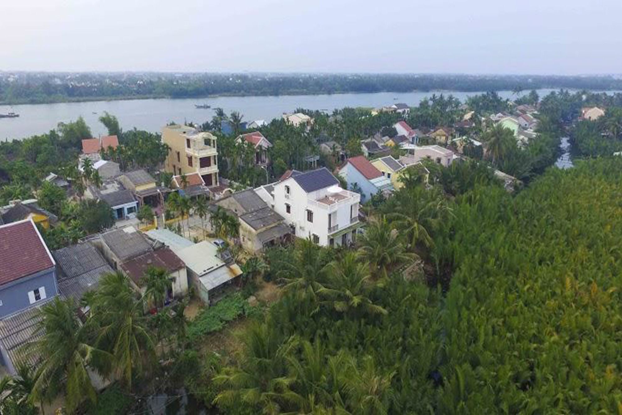 Coconut Garden Homestay Hoi An Bagian luar foto