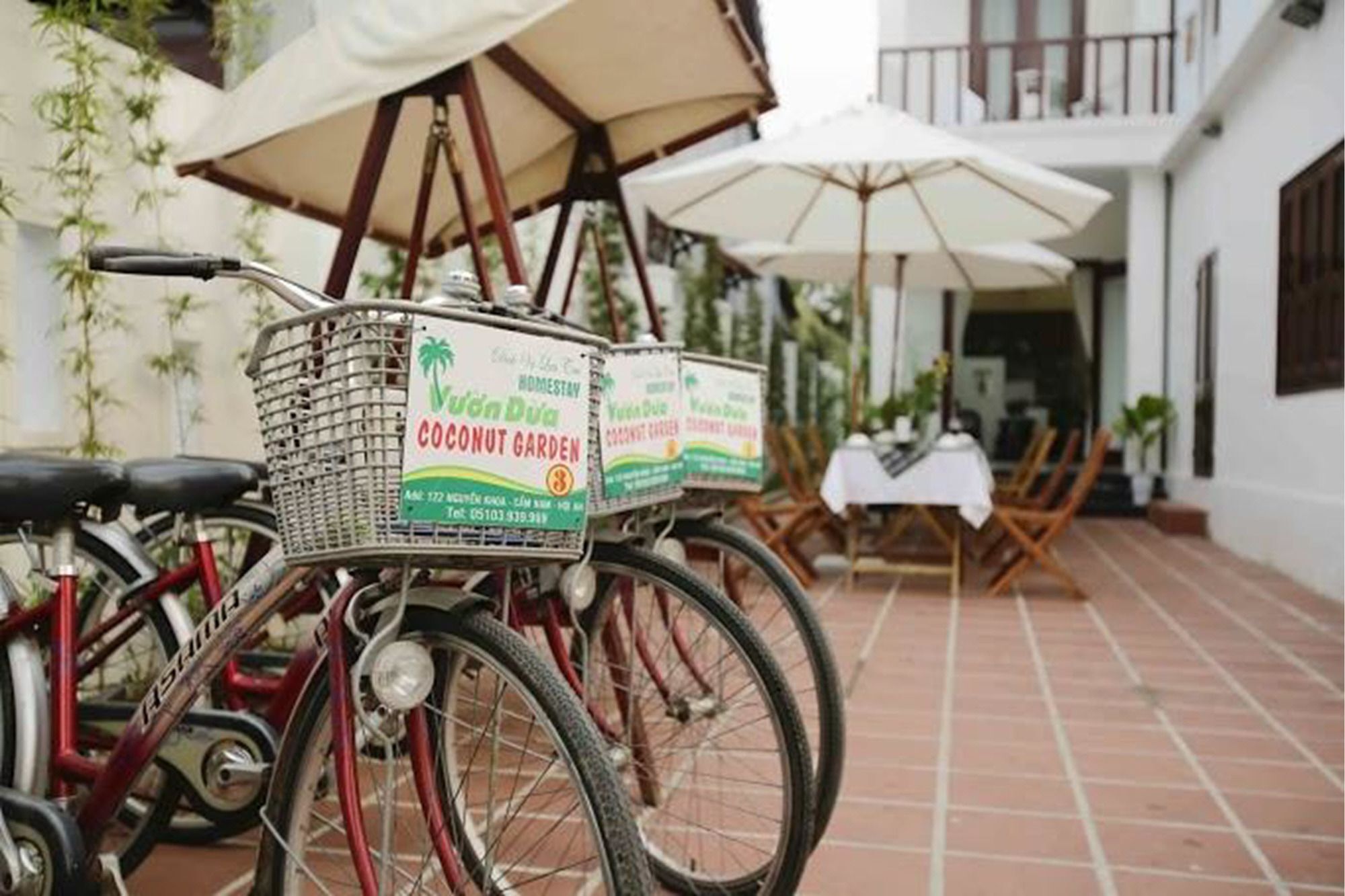 Coconut Garden Homestay Hoi An Bagian luar foto